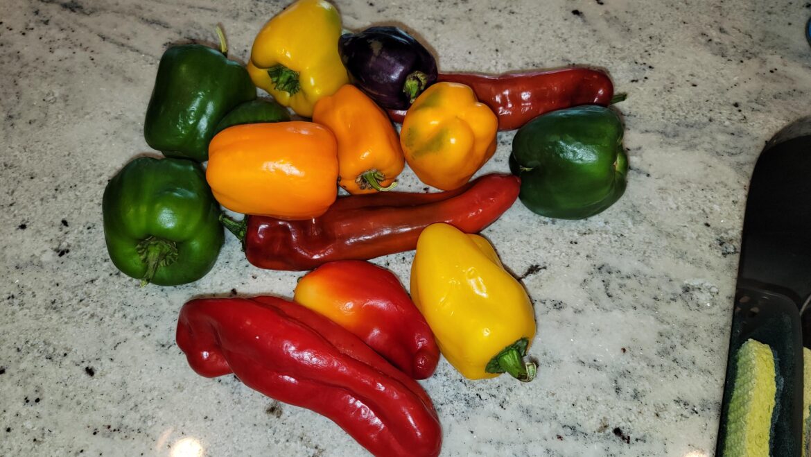 Could it be the soil? Could it be the soil?