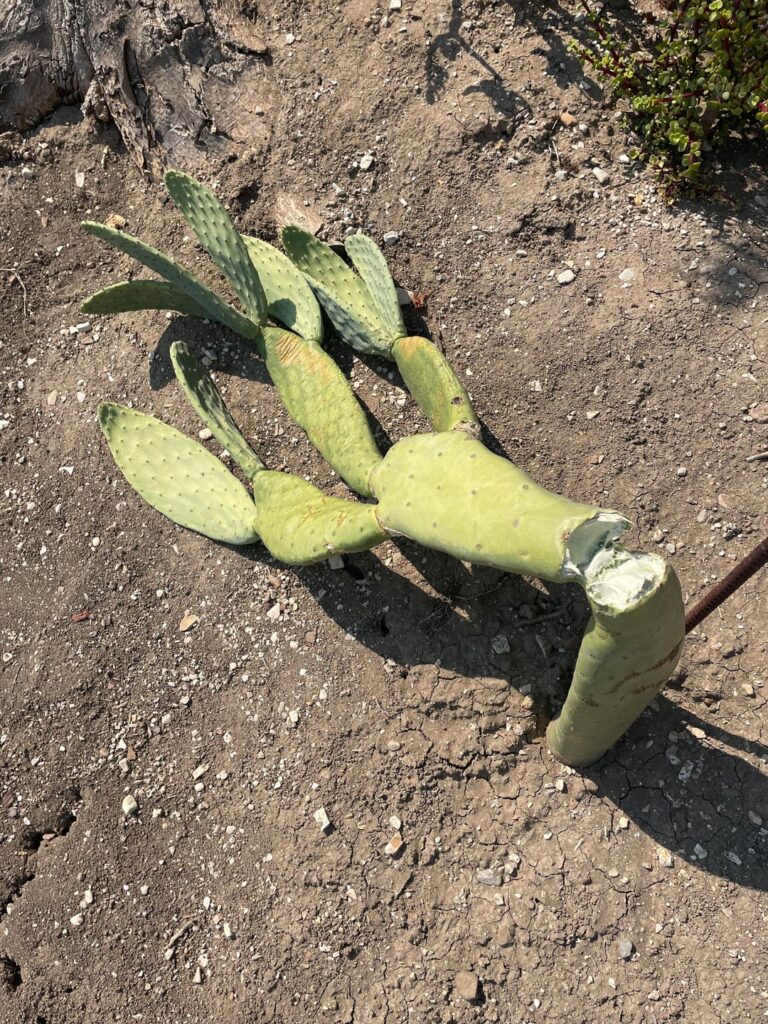 The snap—almost 1.5 years later