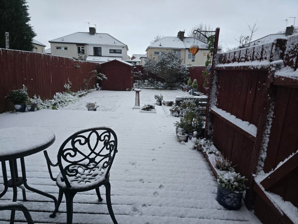 Wondering what will have survived once the snow melts...