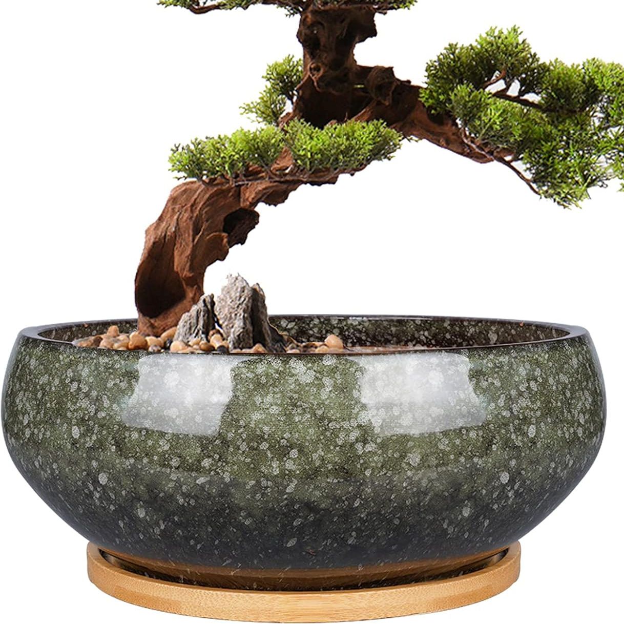 Epfamily 8 Inch Ceramic Bonsai Planter Pot, Glazed Shallow Succulent Planter With Drainage Hole and Bamboo Saucer for Indoor Plants, Brown