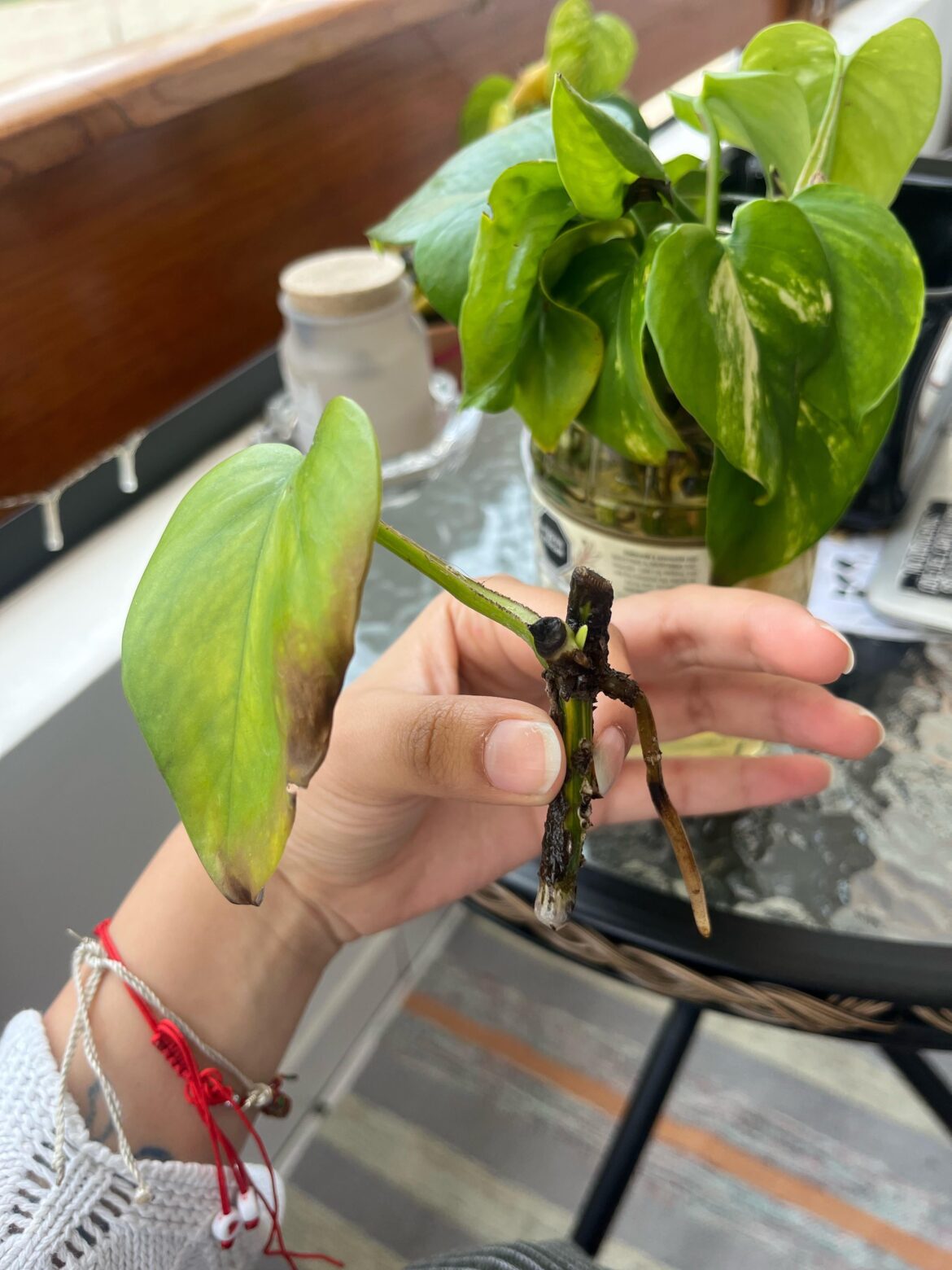 Help with my propagation