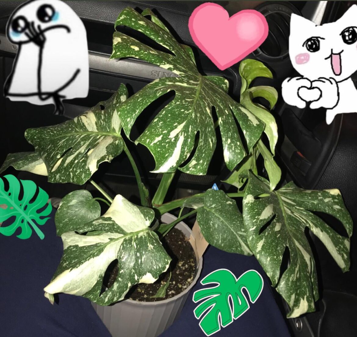 I COULDN’T BELIEVE MY EYES Y’ALL