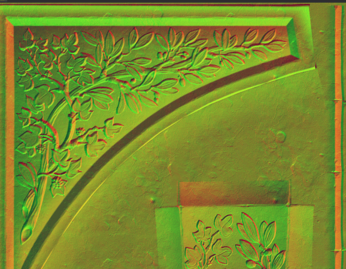 Two different types of leaves are depicted here