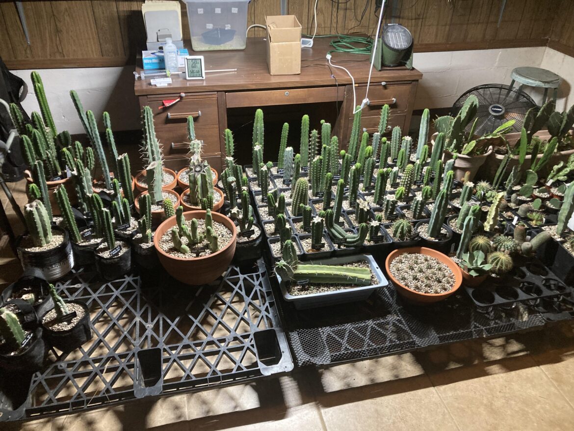 This morning I moved like 200 plants into dormancy. Took like 2 hours and I’m already tired before work…😅