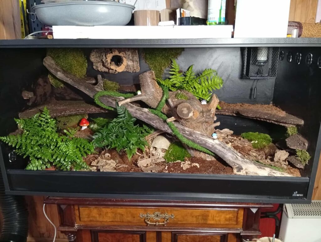 My DIY enclosure for a corn snake