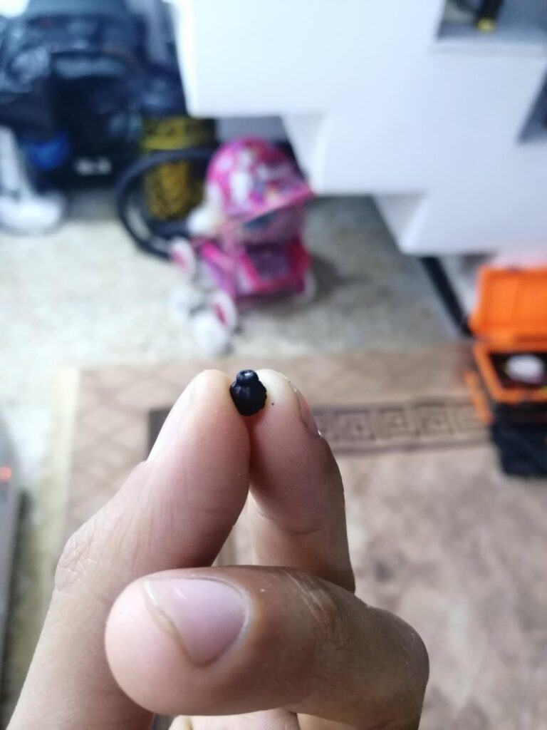 My grandpa wants to know what is the name of this plant, this is the seed and plant :v