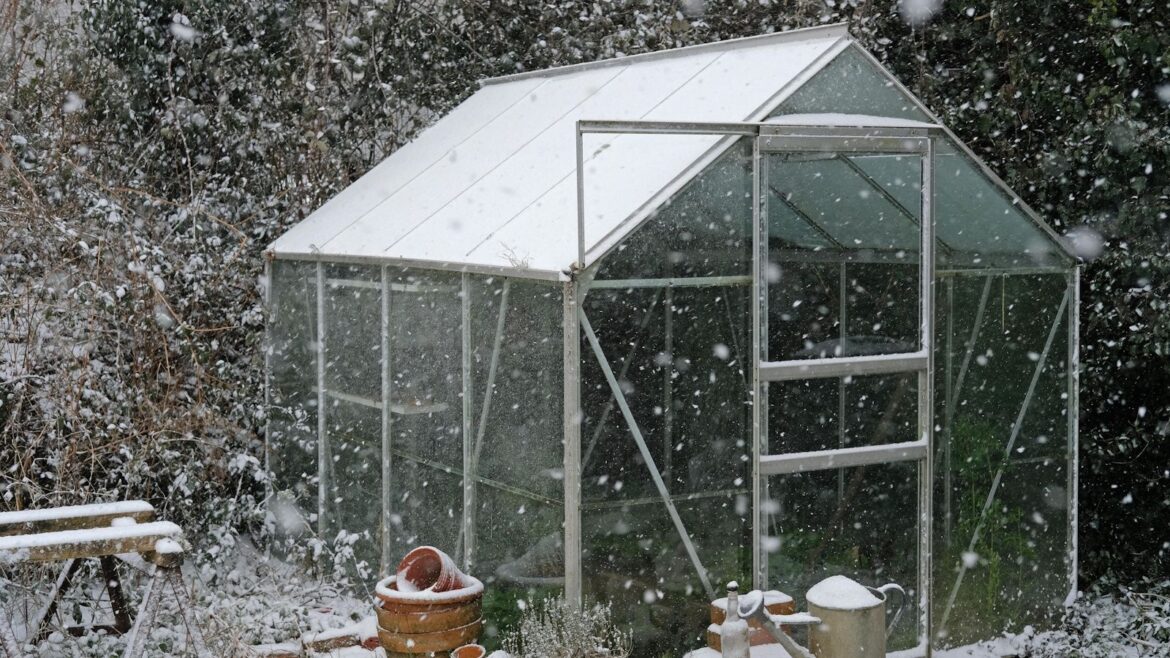 Amazon greenhouse heater with a digital thermostat for winter Amazon greenhouse heater with a digital thermostat for winter