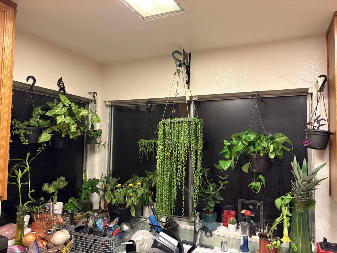 Ignore the dishes 😊