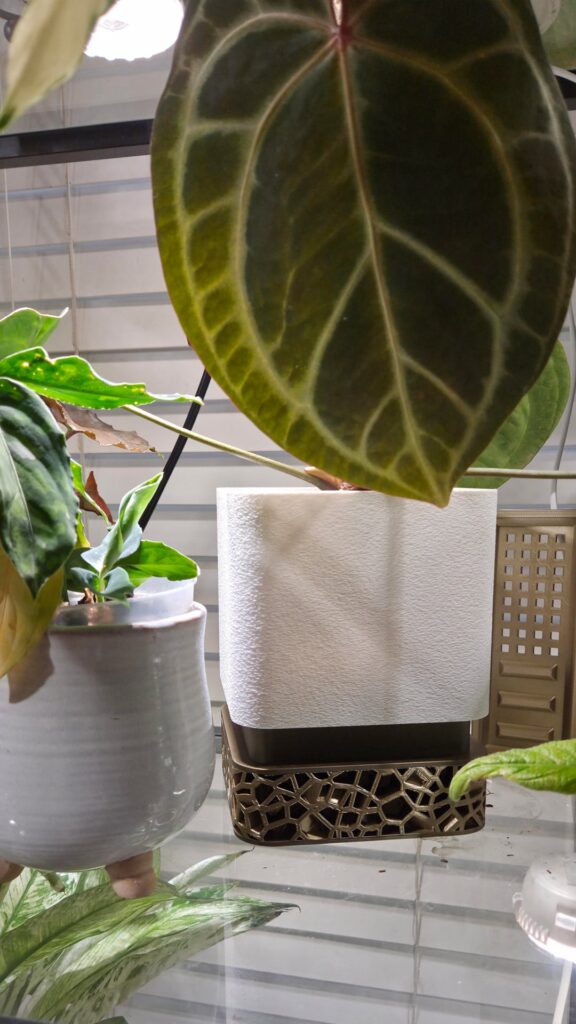 We got a 3D printer and the only thing I've made for two weeks straight are plant pots.