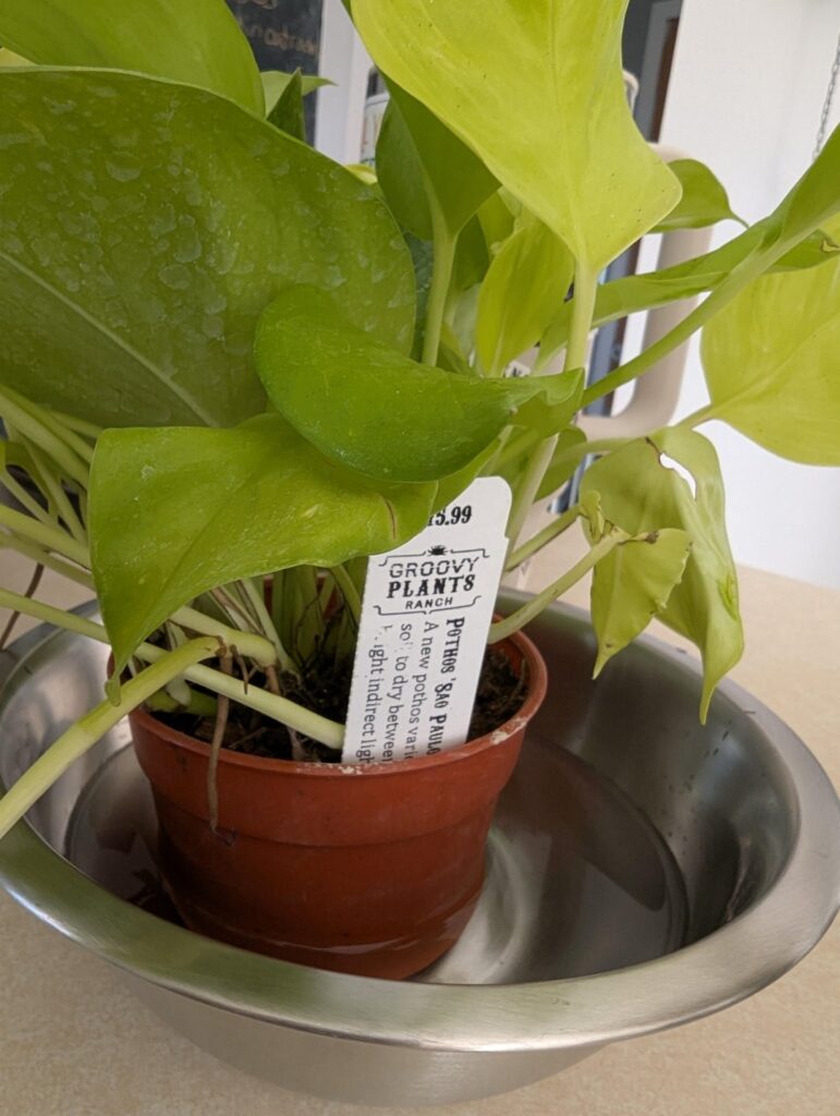 Sao Paulo vs Champs-Élysées