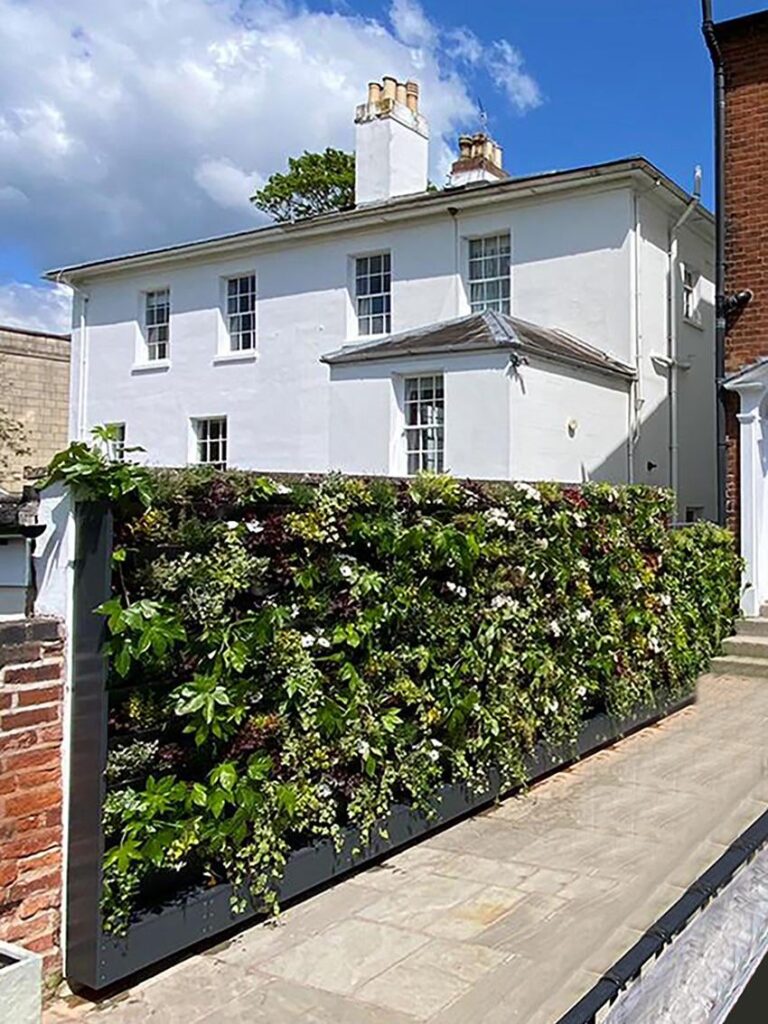 Green wall system installed
