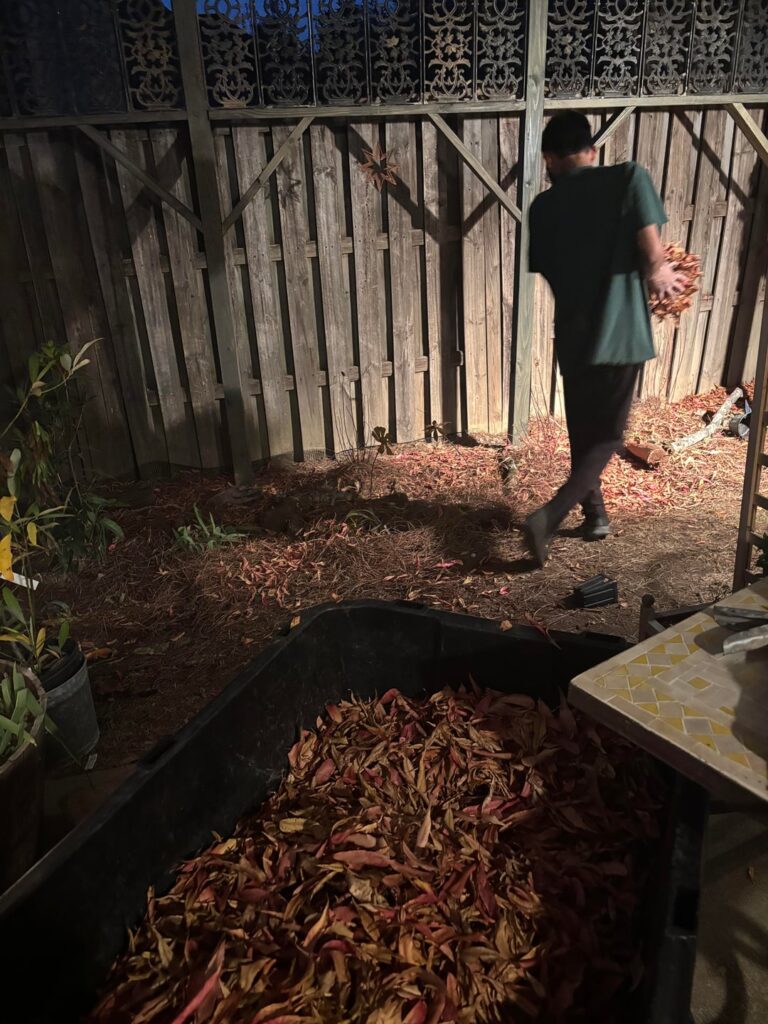 Gathered leaves before HOA landscapers come Gathered leaves before HOA landscapers come