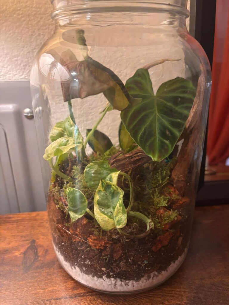 My first try