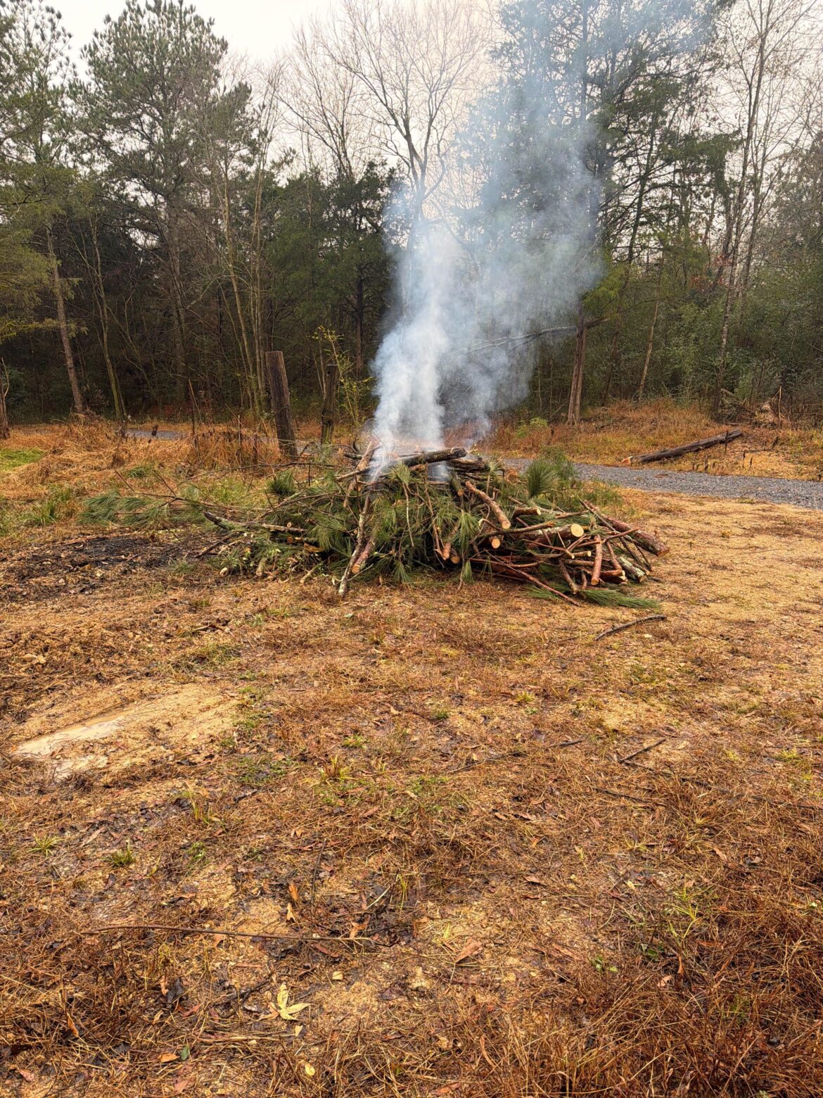 Ain’t nothing like 3 beers and a burn pile on a rainy day.