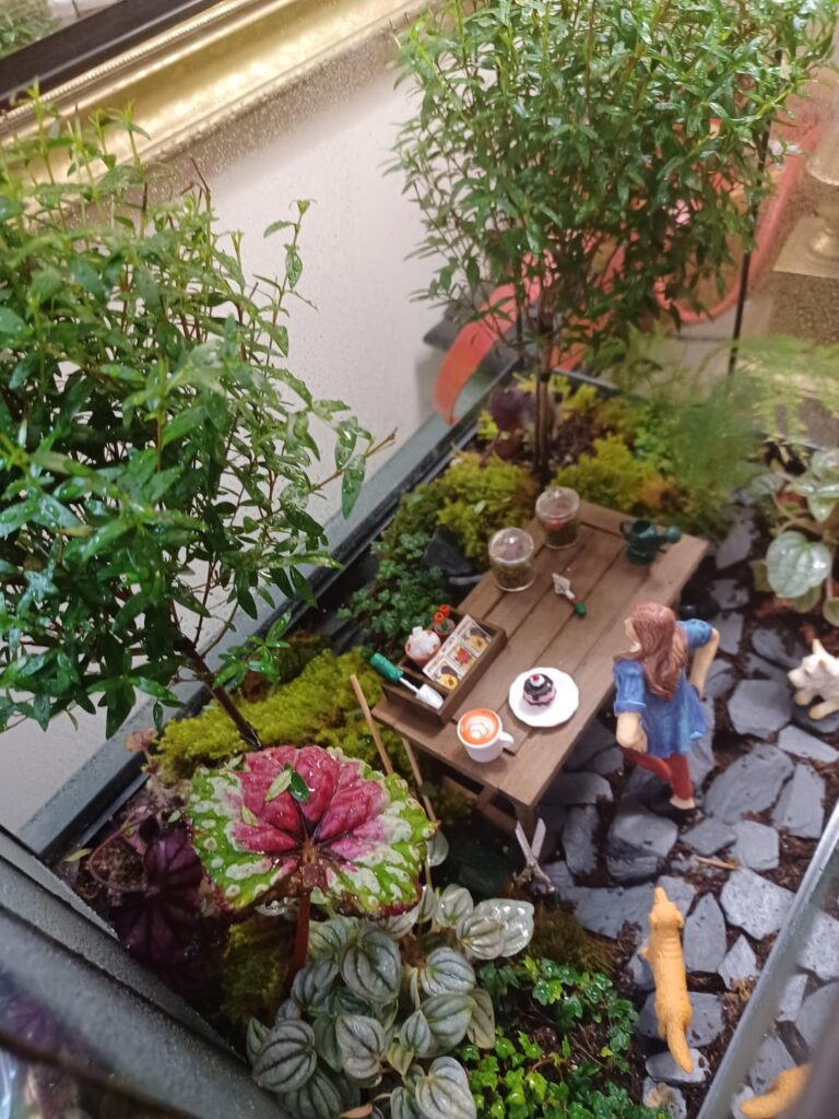 Terrarium of Someone Making a Terrarium Terrarium of Someone Making a Terrarium