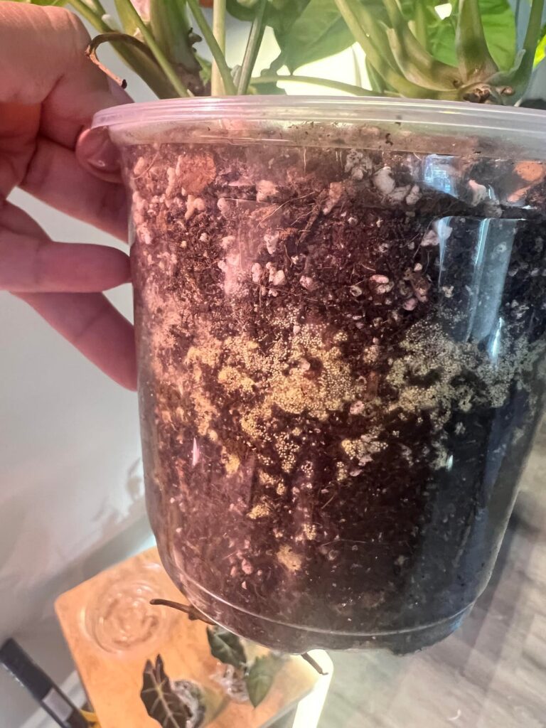 What is this? And how do I fix it?