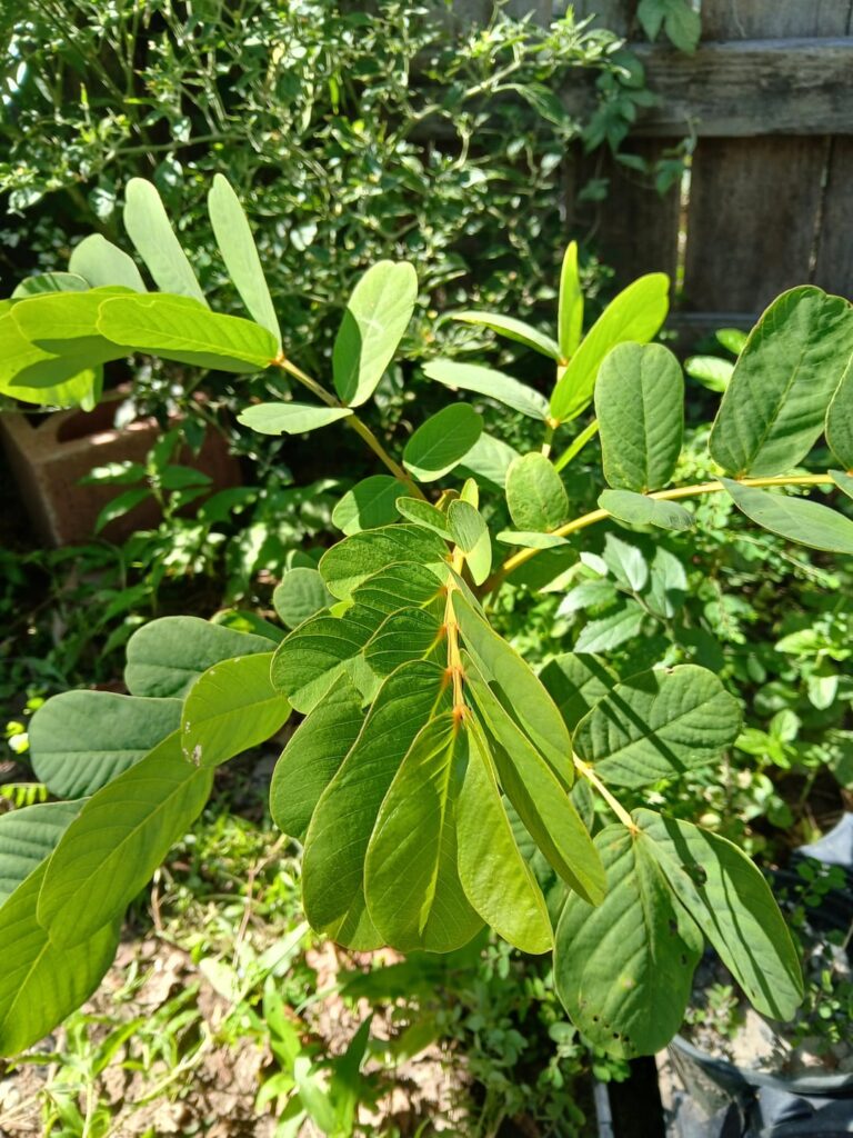 What is this? Houston tx