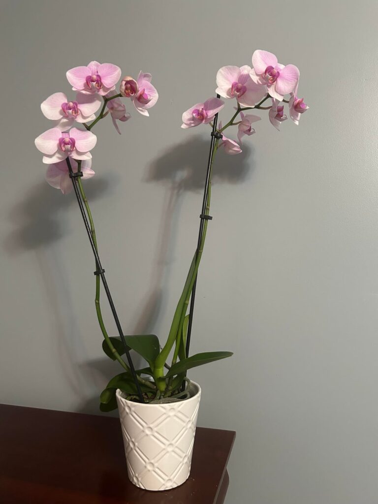 More air flow? More air flow?