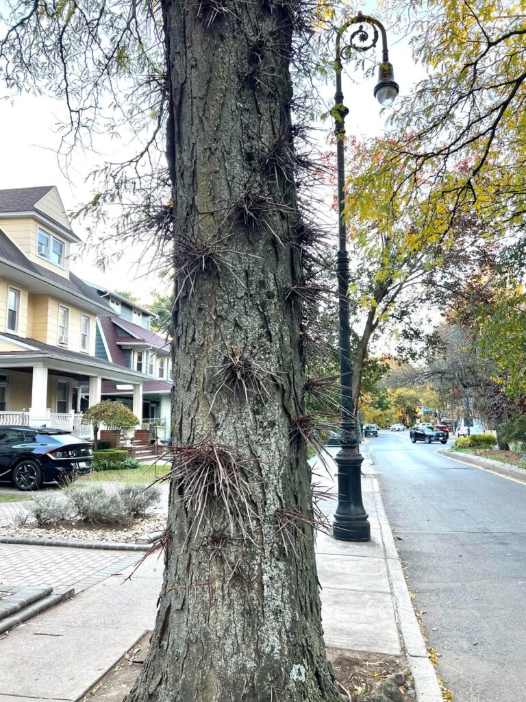 Two questions- what? and why?