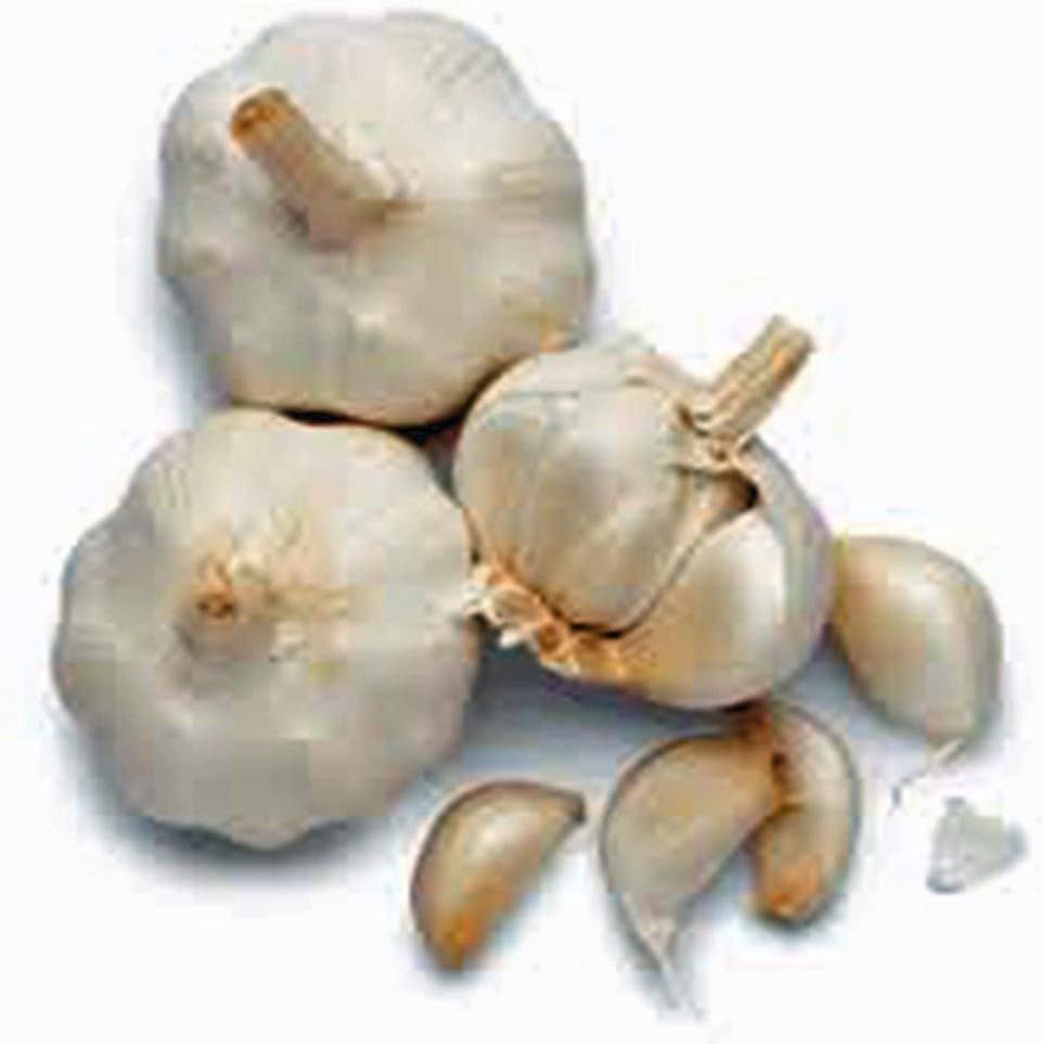 Garlic Bulb (3 Pack), Fresh California Softneck Garlic Bulb for Planting and Growing Your Own Garlic, Buy Country Creek Brand Only Not Fakes