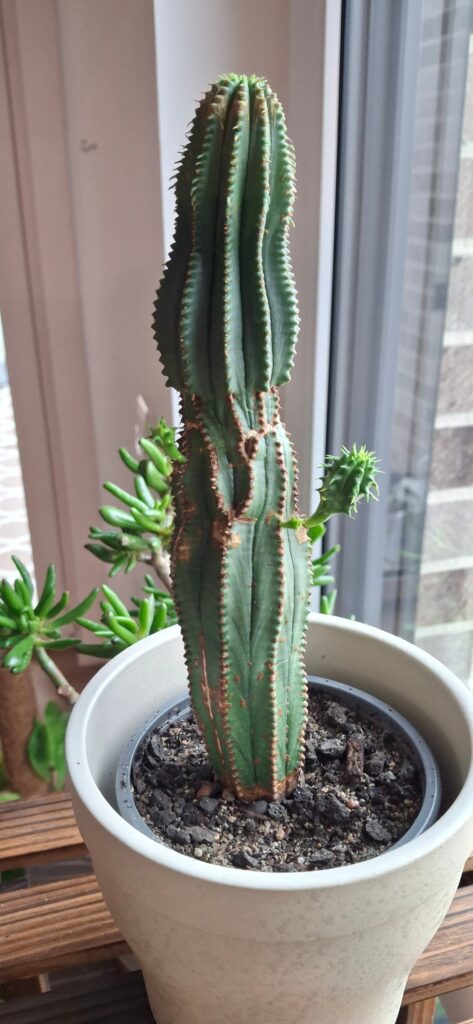 New to this sub – looking for ID New to this sub - looking for ID