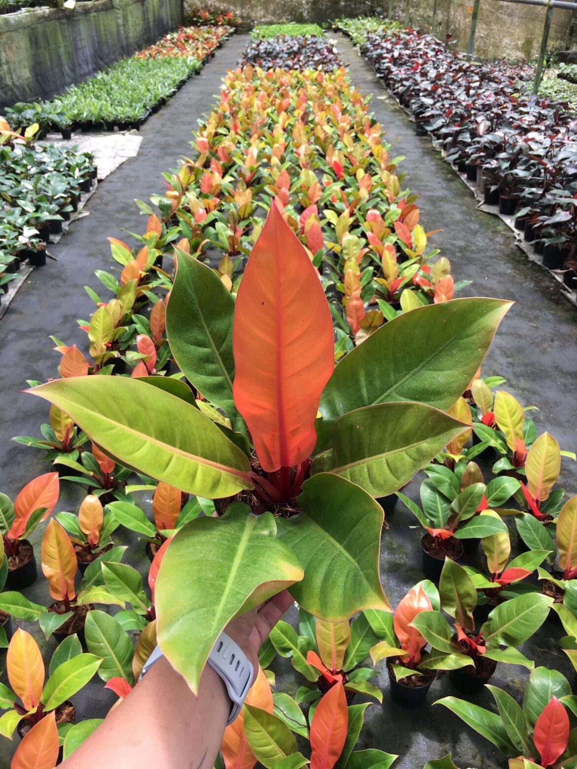 that's why i love visiting grandma