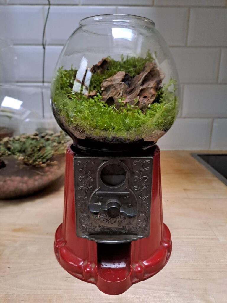 Repurposed gumball dispenser Repurposed gumball dispenser