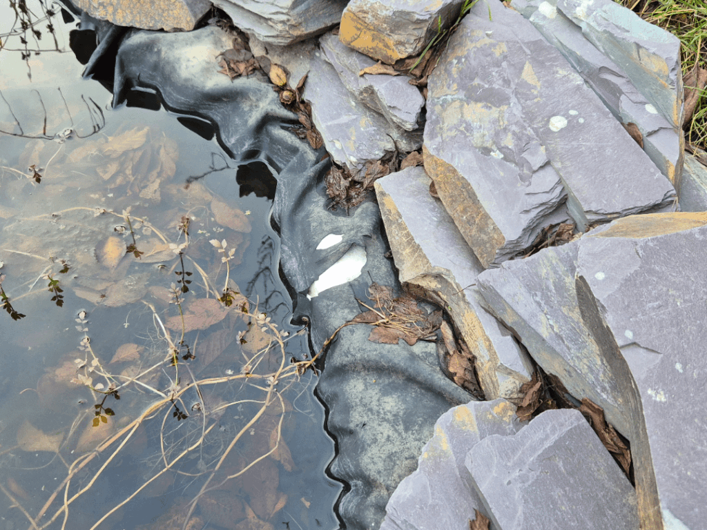 POND DISASTER! Something ripped my EPDM liner :(