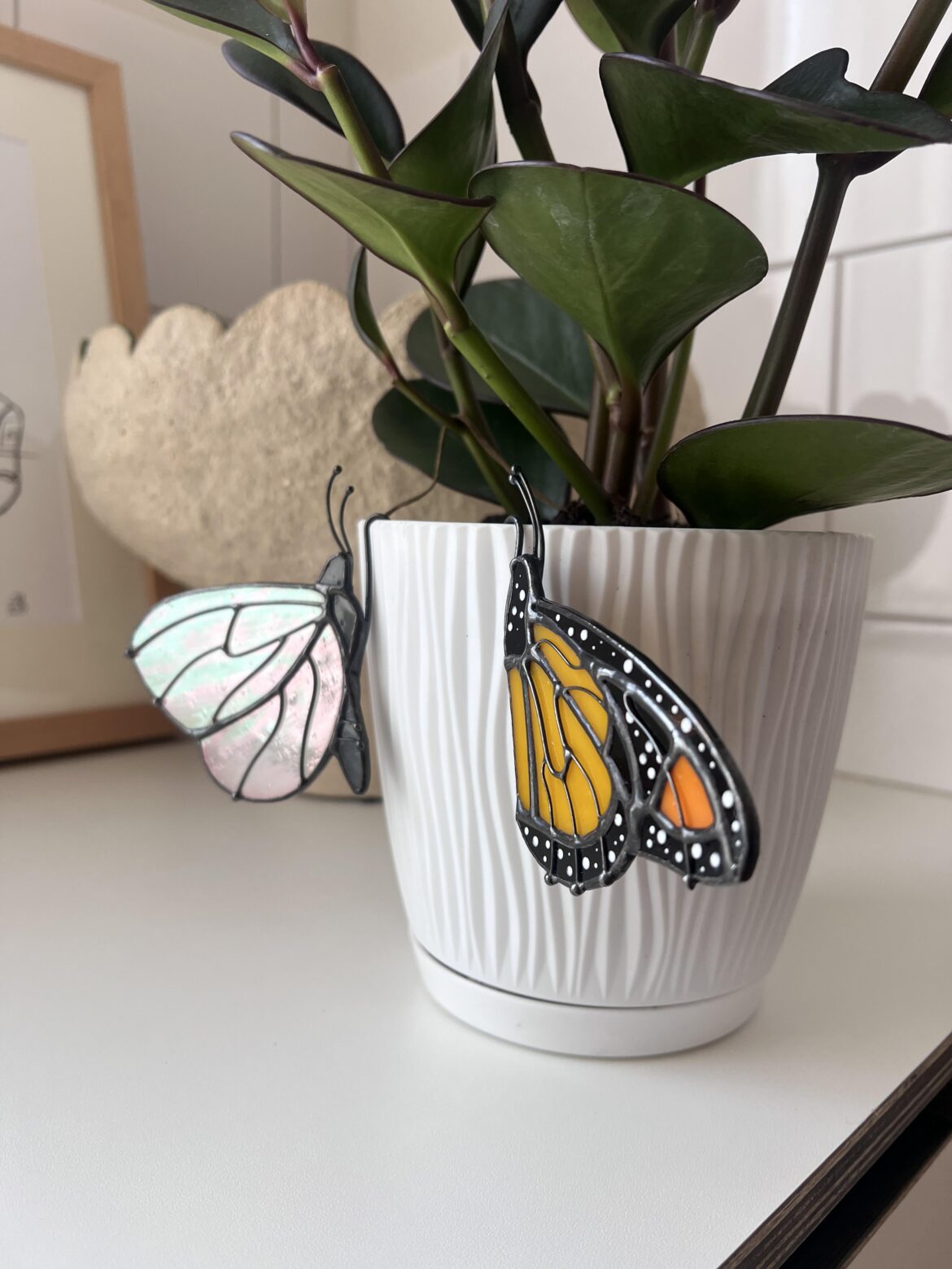 Butterfly planters for home plants