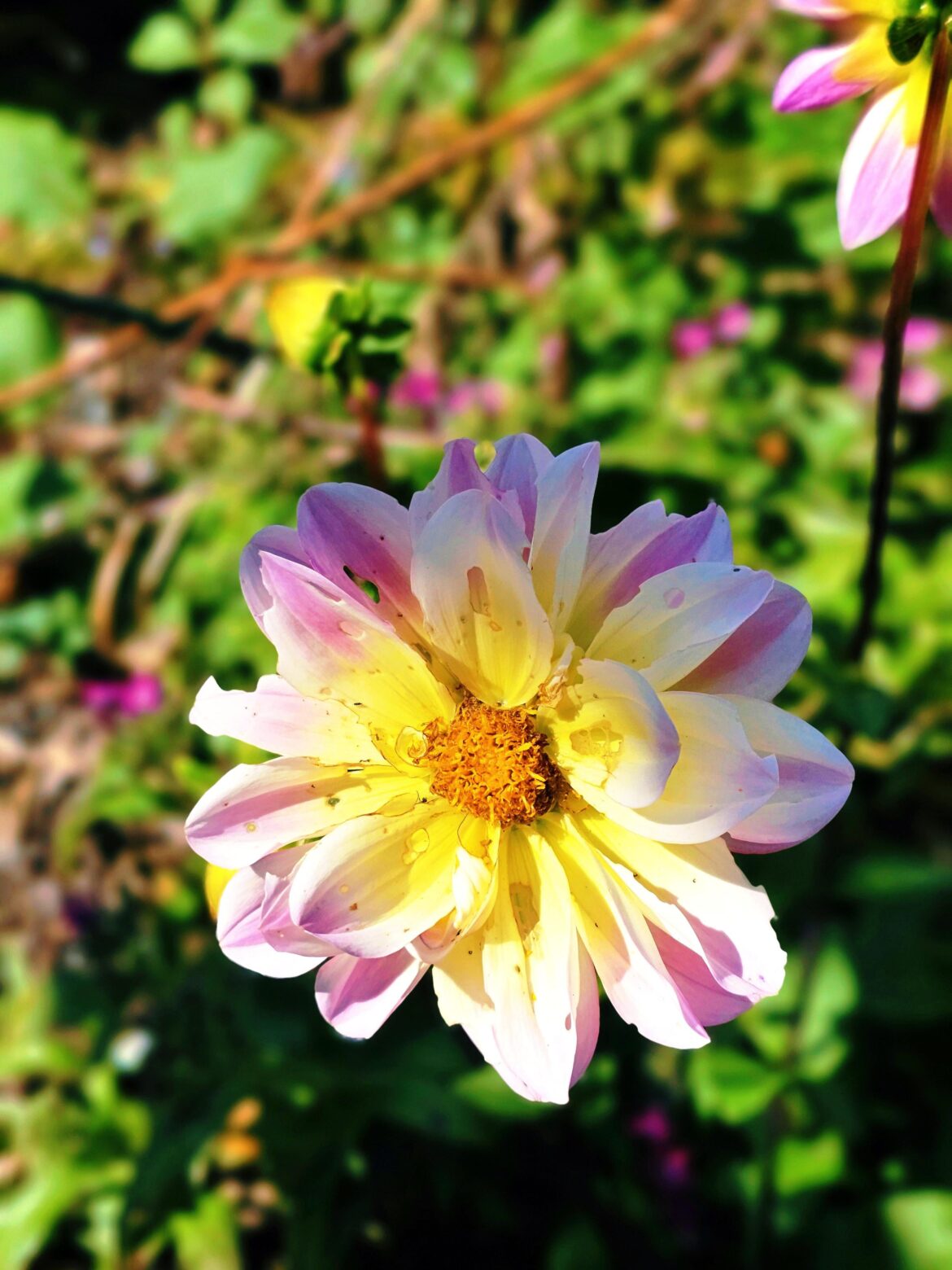 New here, first photo.