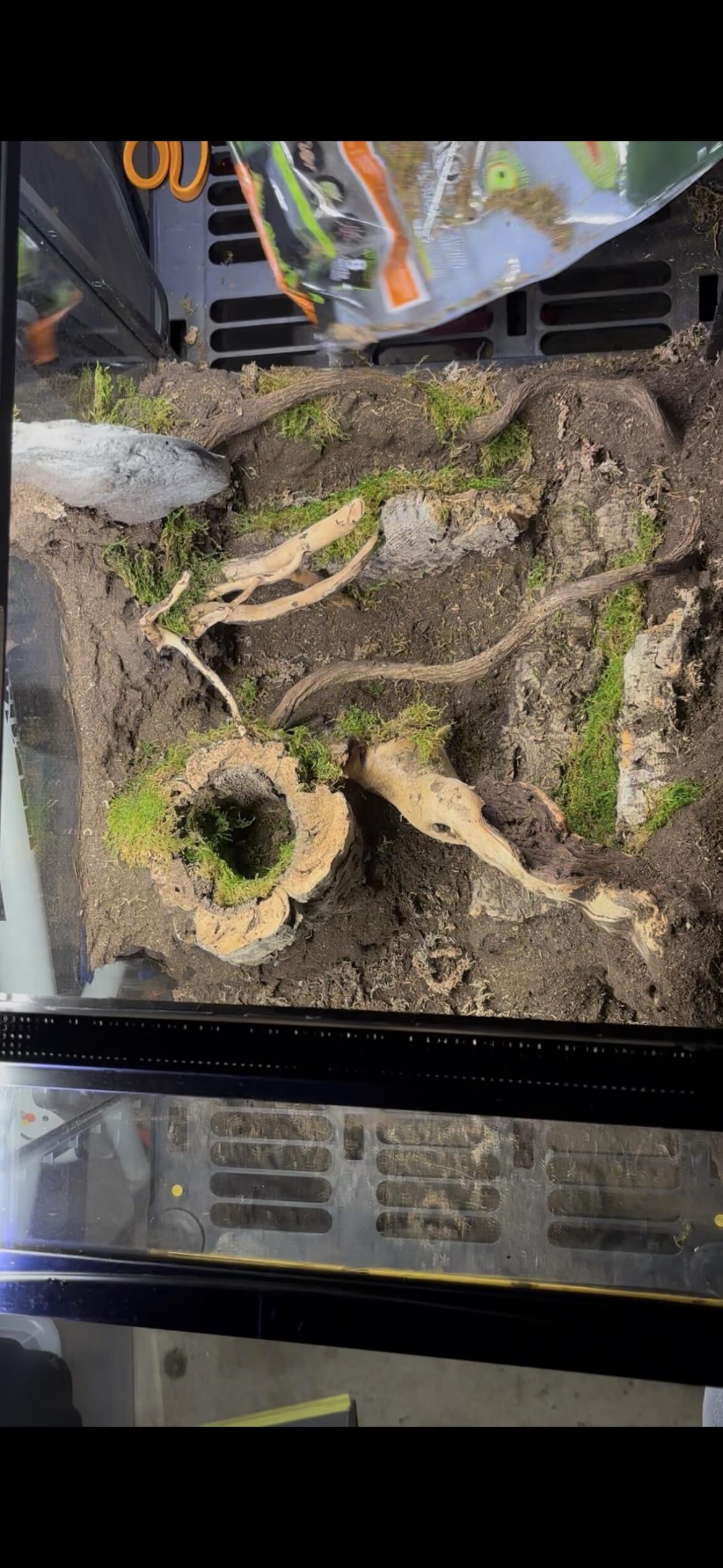 Did I ruin my background? Help please - Silicone/GS