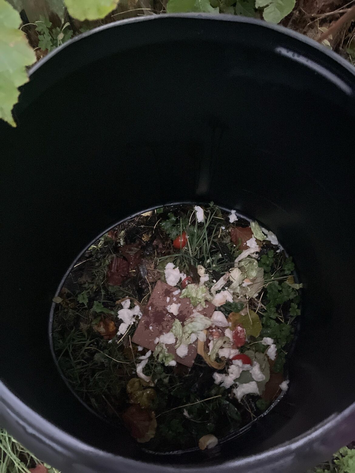 Is my compost bin supposed to be open at the bottom? Please help.