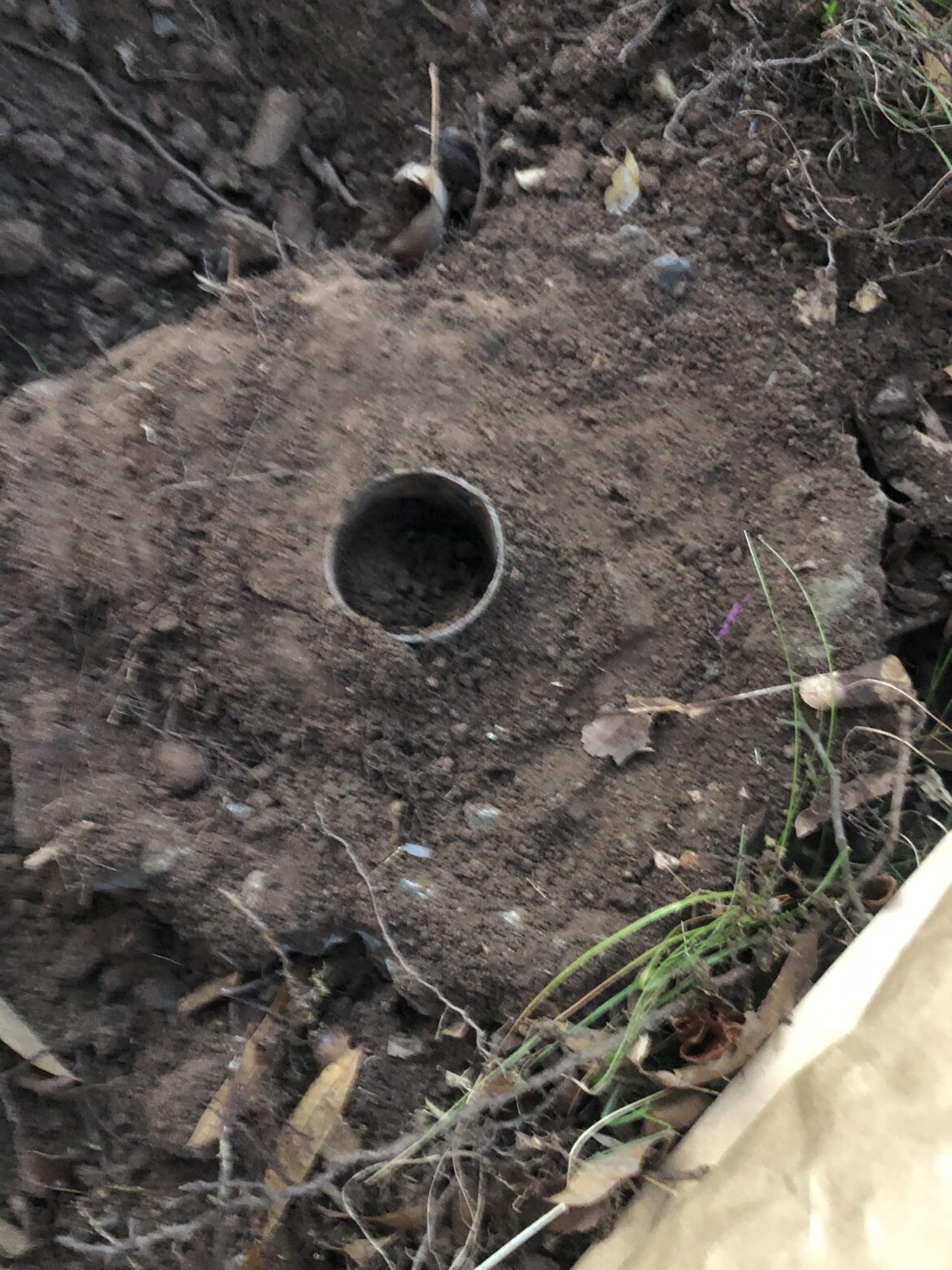 What does this look like to you?