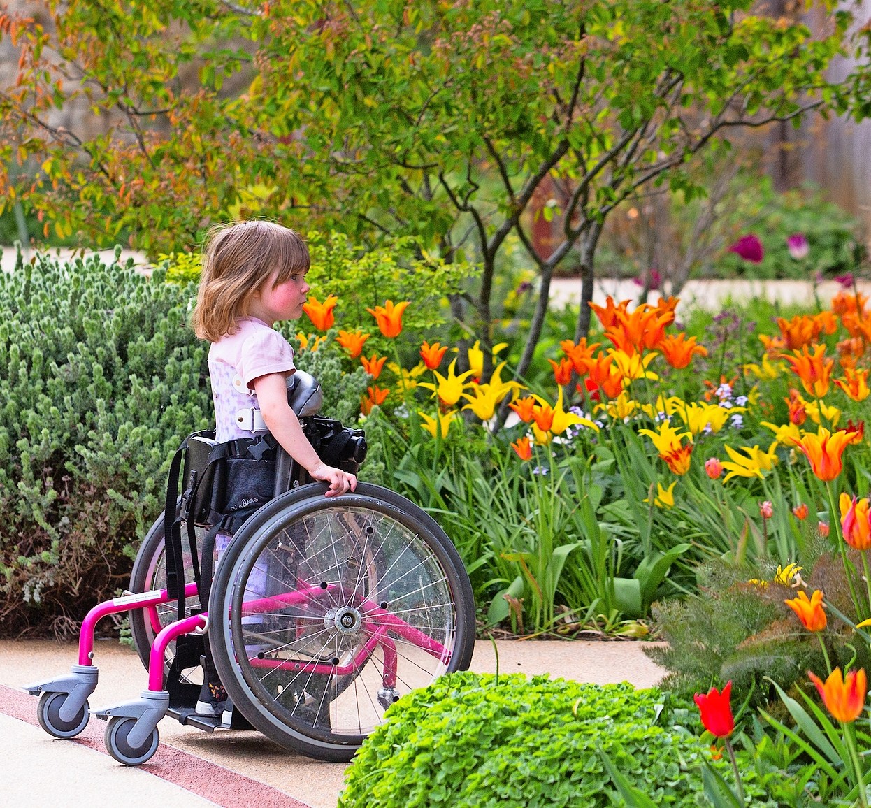 Young person Lucy Shergold in a wheelchair in Horatio's Garden Stoke Mandeville, surrounded by flowers.