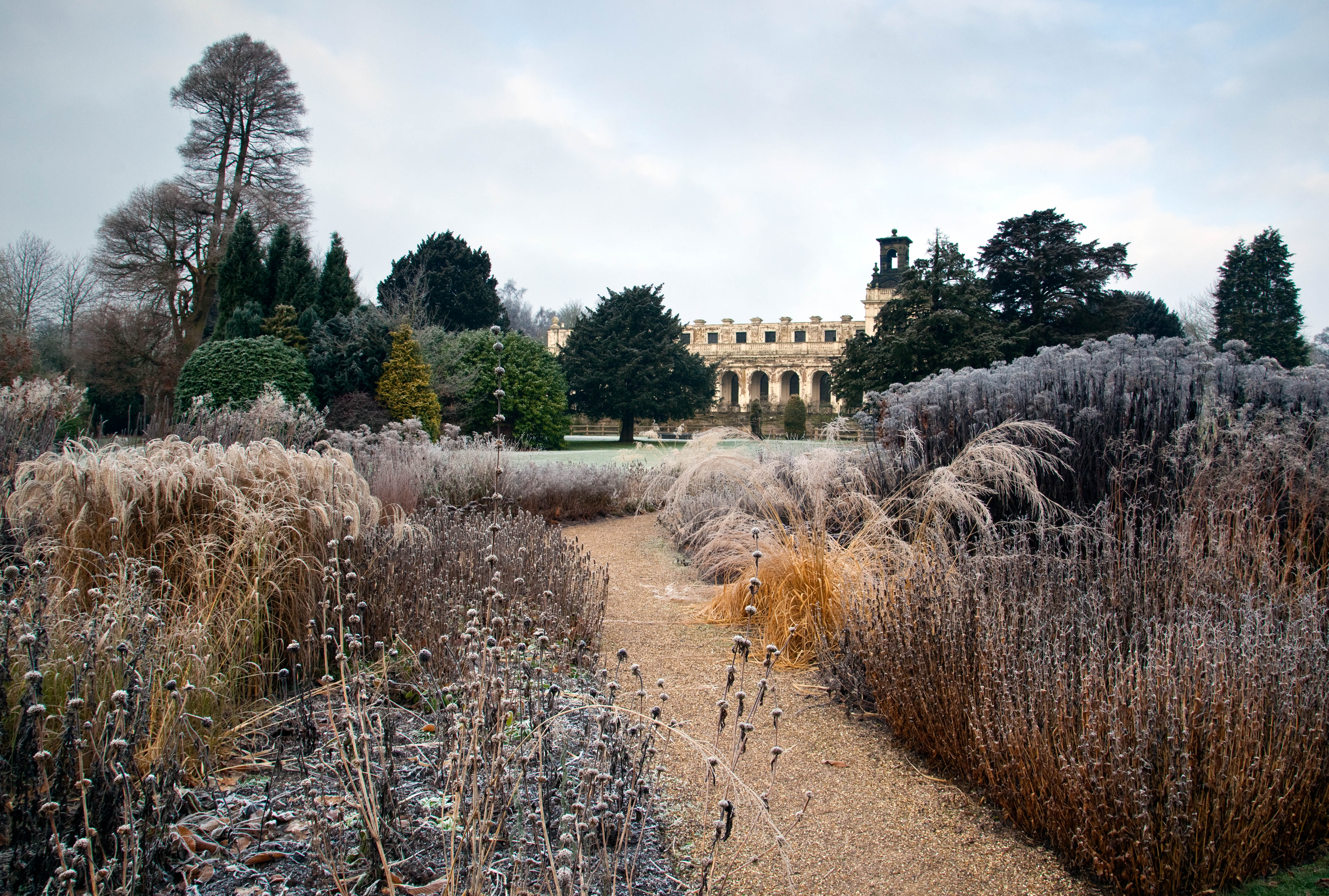 Frosted borders of herbaceous perennials and ornamental grasses at Trentham gardens.