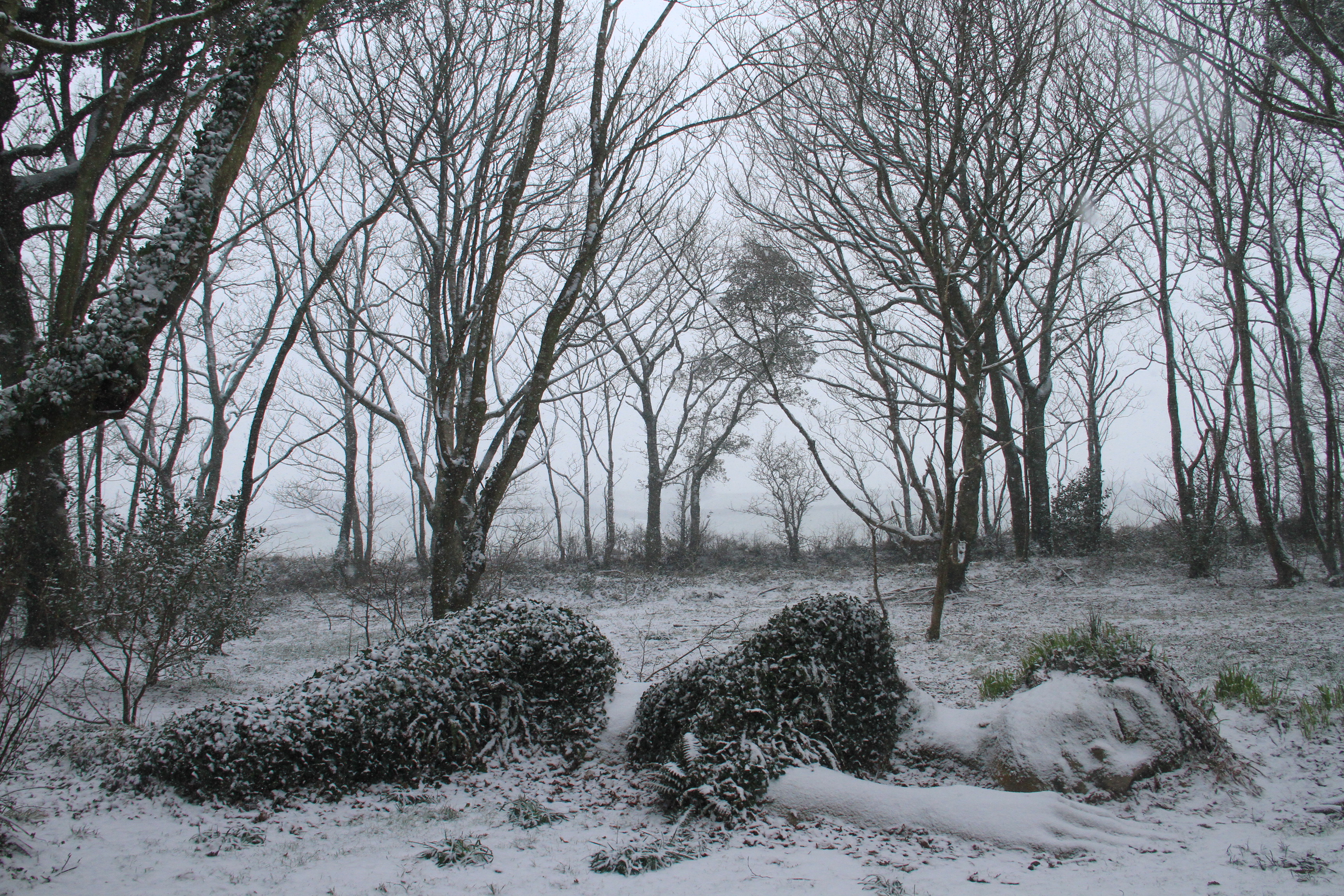 The Mud Maid sculpture covered in snow in the Lost Gardens of Heligan.