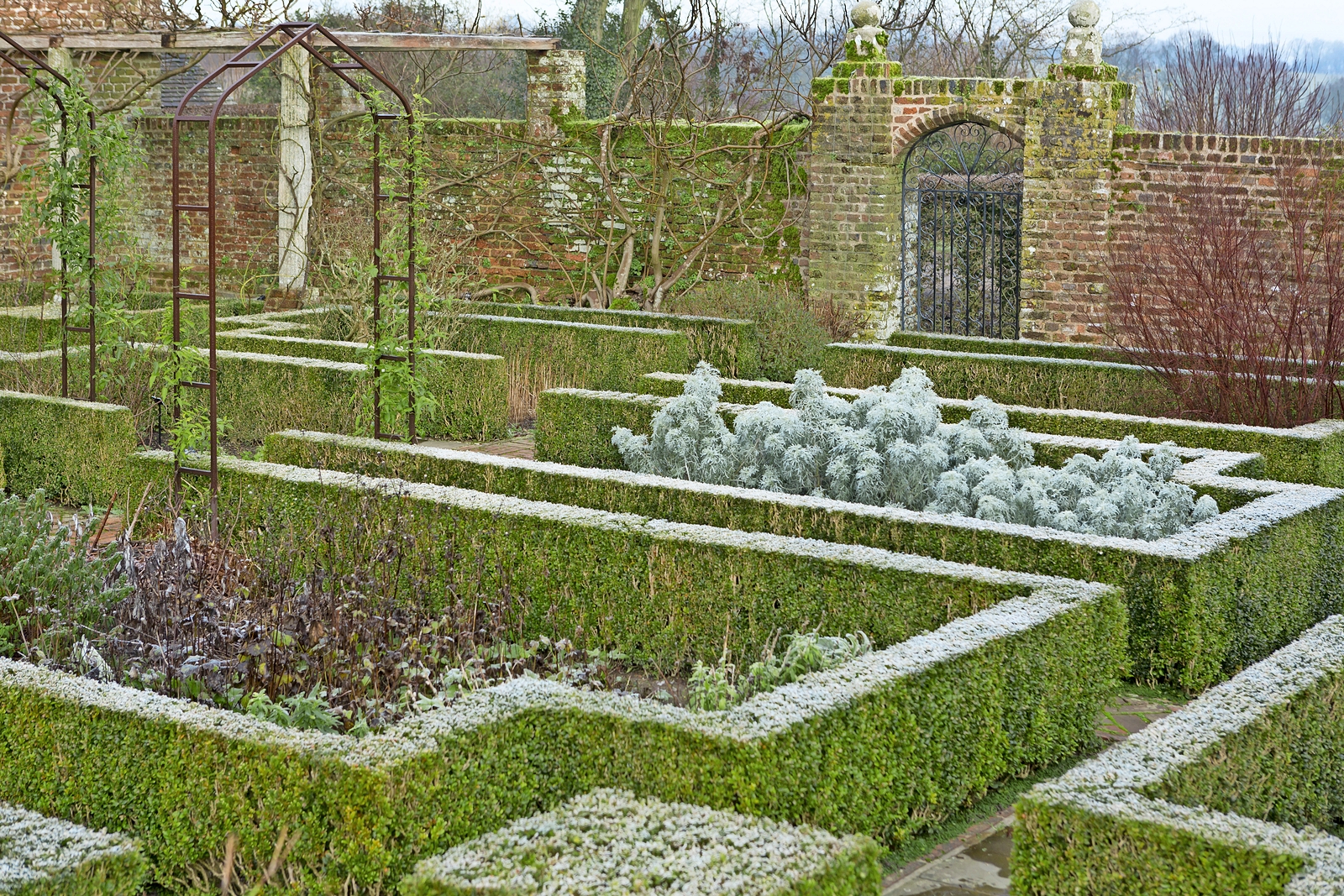A winter's day in the White Garden at Sissinghurst Castle, Kent, with frosted boxwood hedges.
