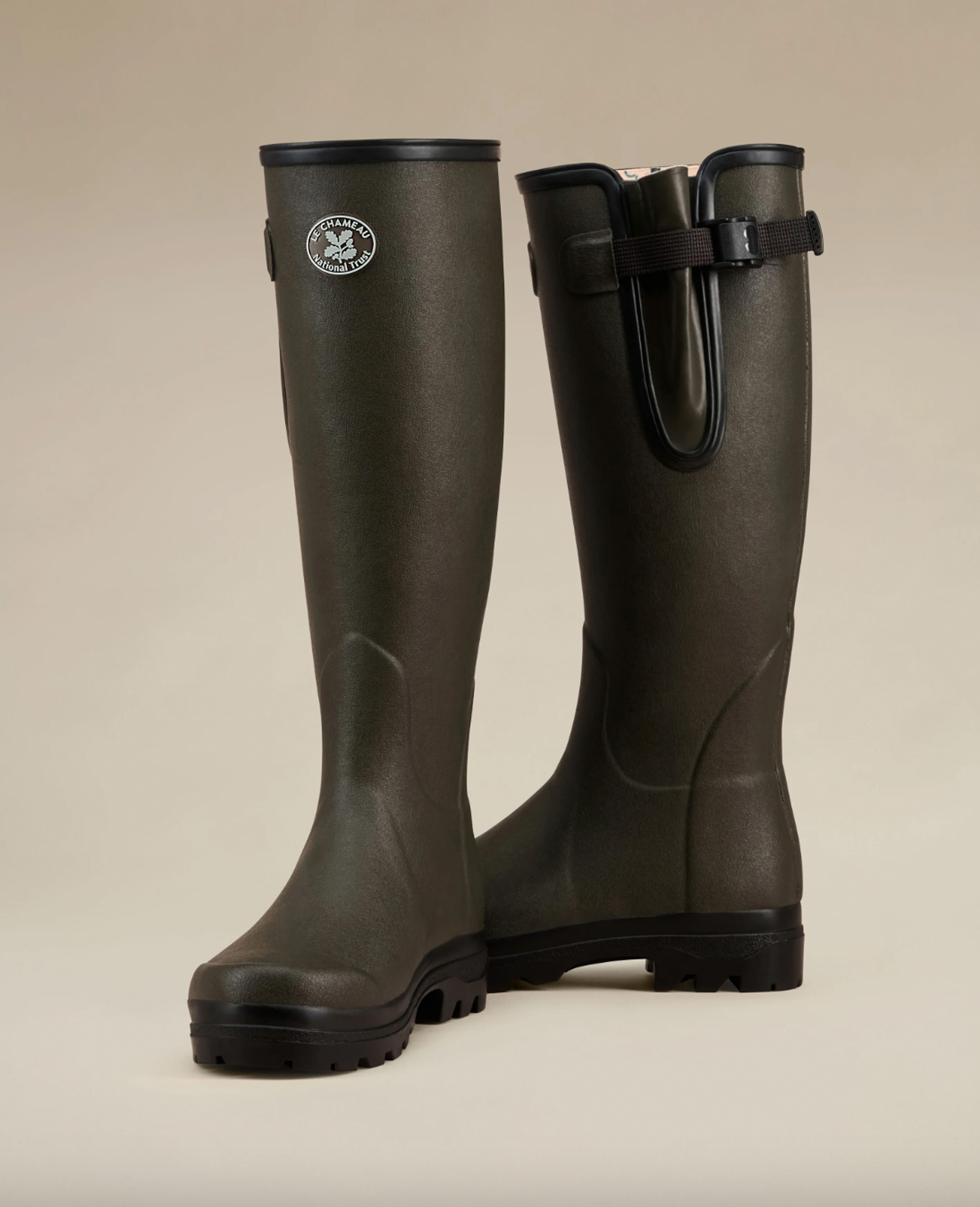 NINTCHDBPICT001031067108