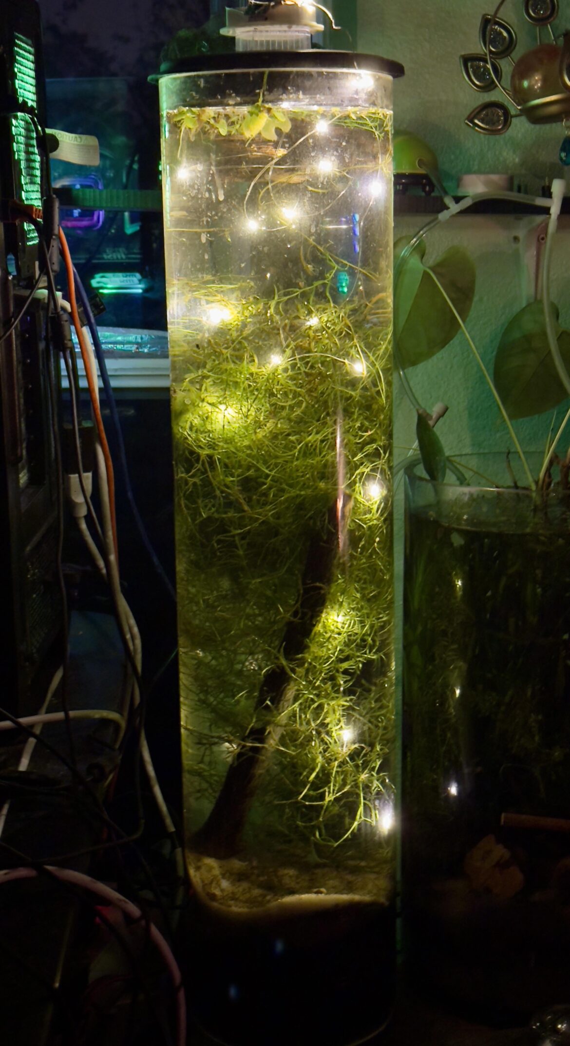 Getting jars ready for the season