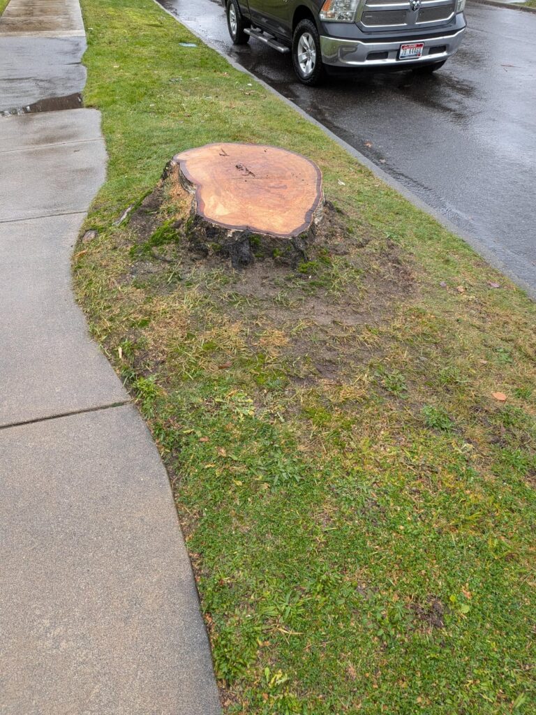 Stump grinding
