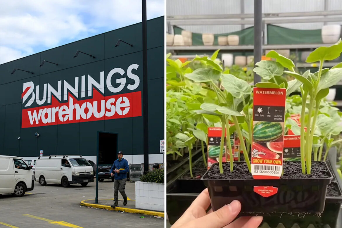 Yahoo lifestyle home