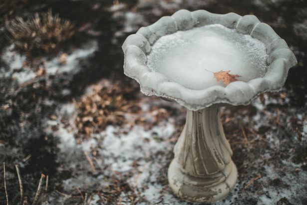 Frost covers a garden and birdbath as the water in the birdbath sits frozen with a leaf laying inside it.