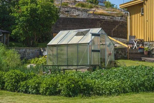 Greenhouse in backyard surrounded by vegetation..