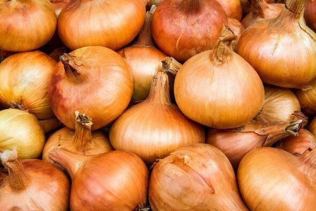 Lots of natural bulbs in close-up