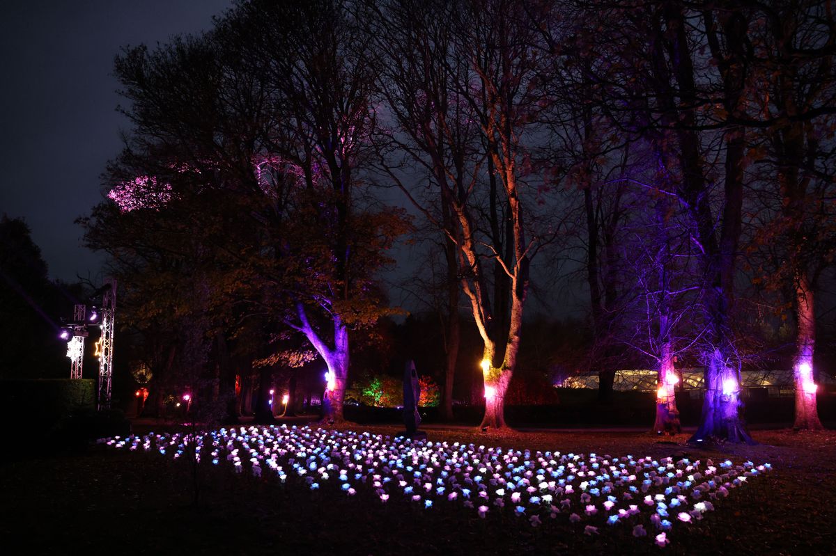 The winter light trail at Alnwick Garden, Northumberland