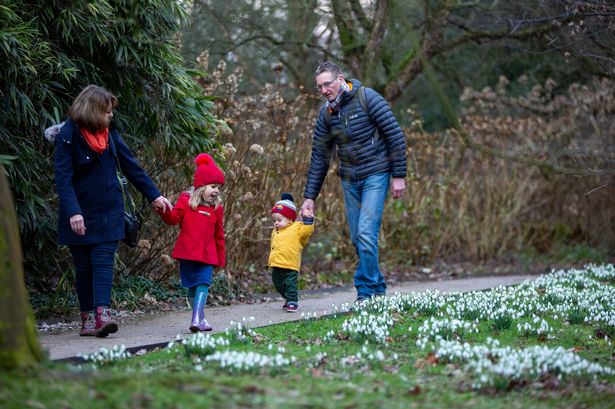 Visitors walking in the Winter Garden at Dunham Massey, Cheshire