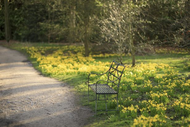 Wrought iron bench in the garden at Dunham Massey, Cheshire