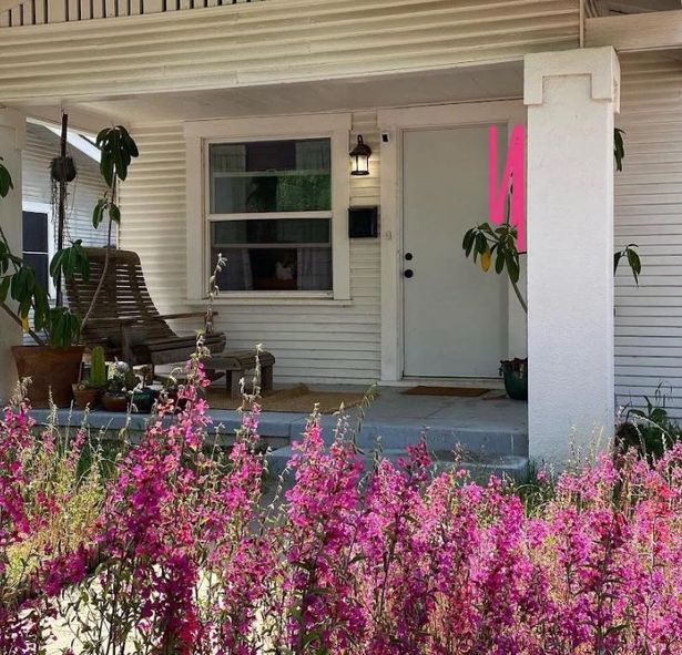 The Reddit user said: "Then the clarkia comes late spring."