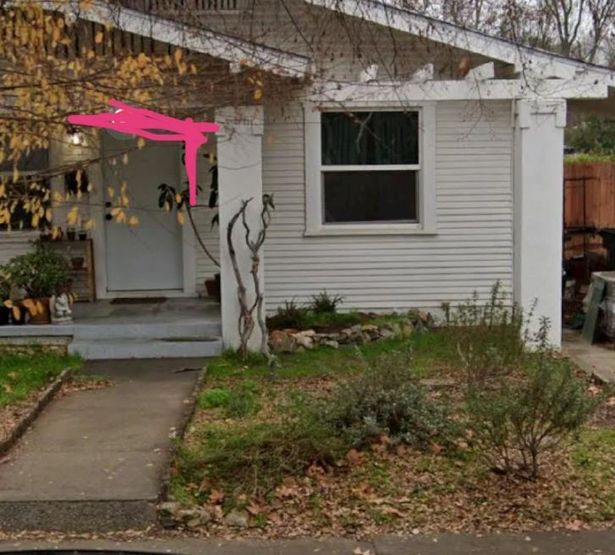 Photo of her garden in summer and autumn