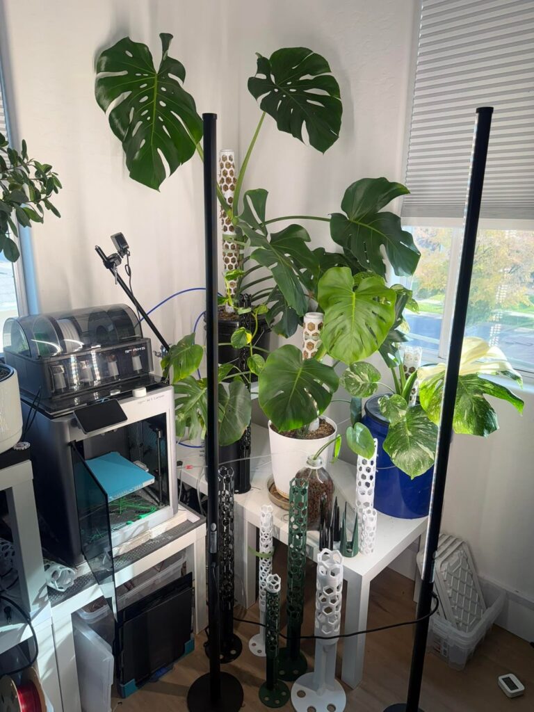 One Hydroponic, One Soil, separated from one pot 4 months ago. The difference is insane.